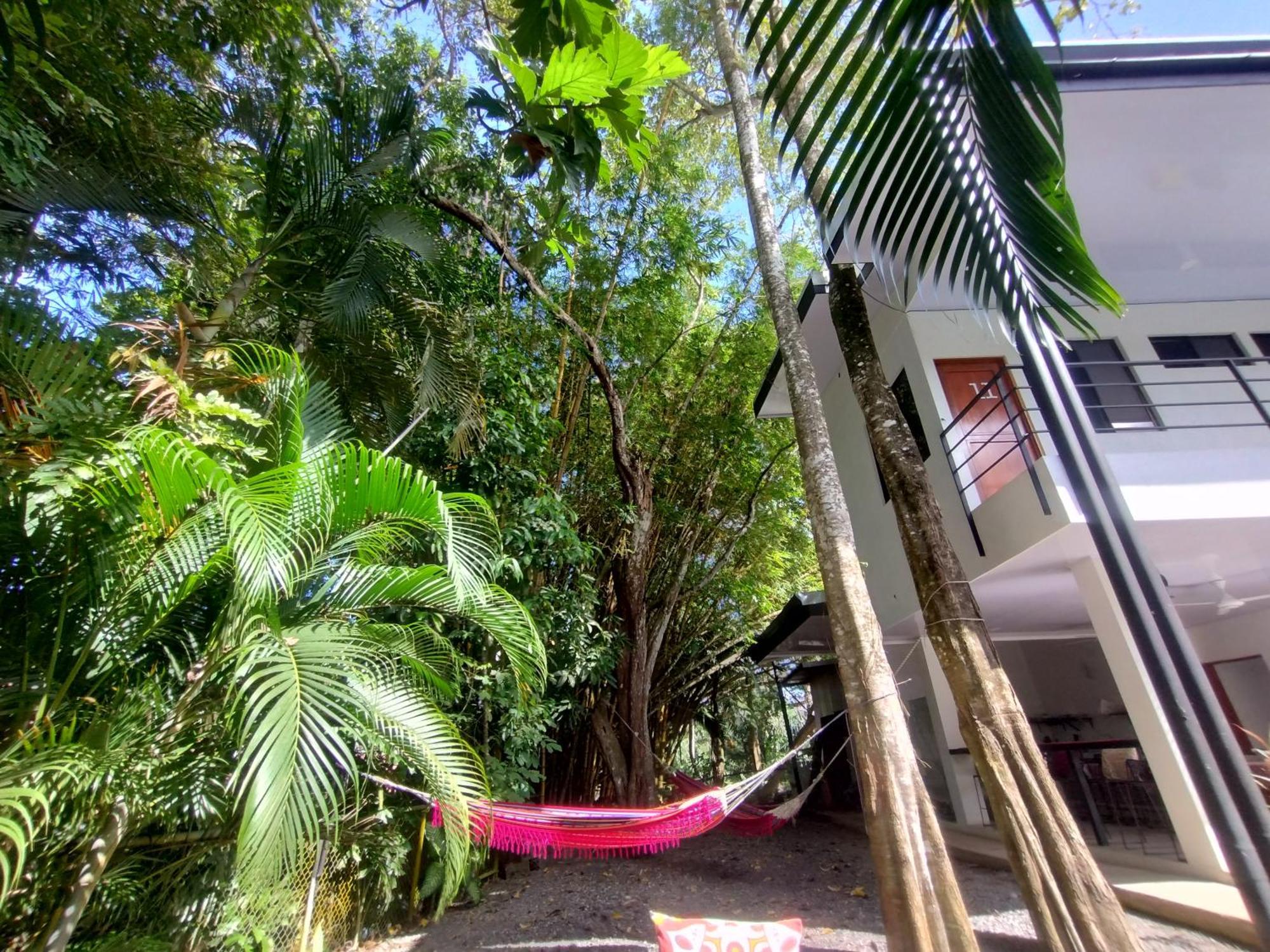 Casajungla Hostel Jacó Kültér fotó