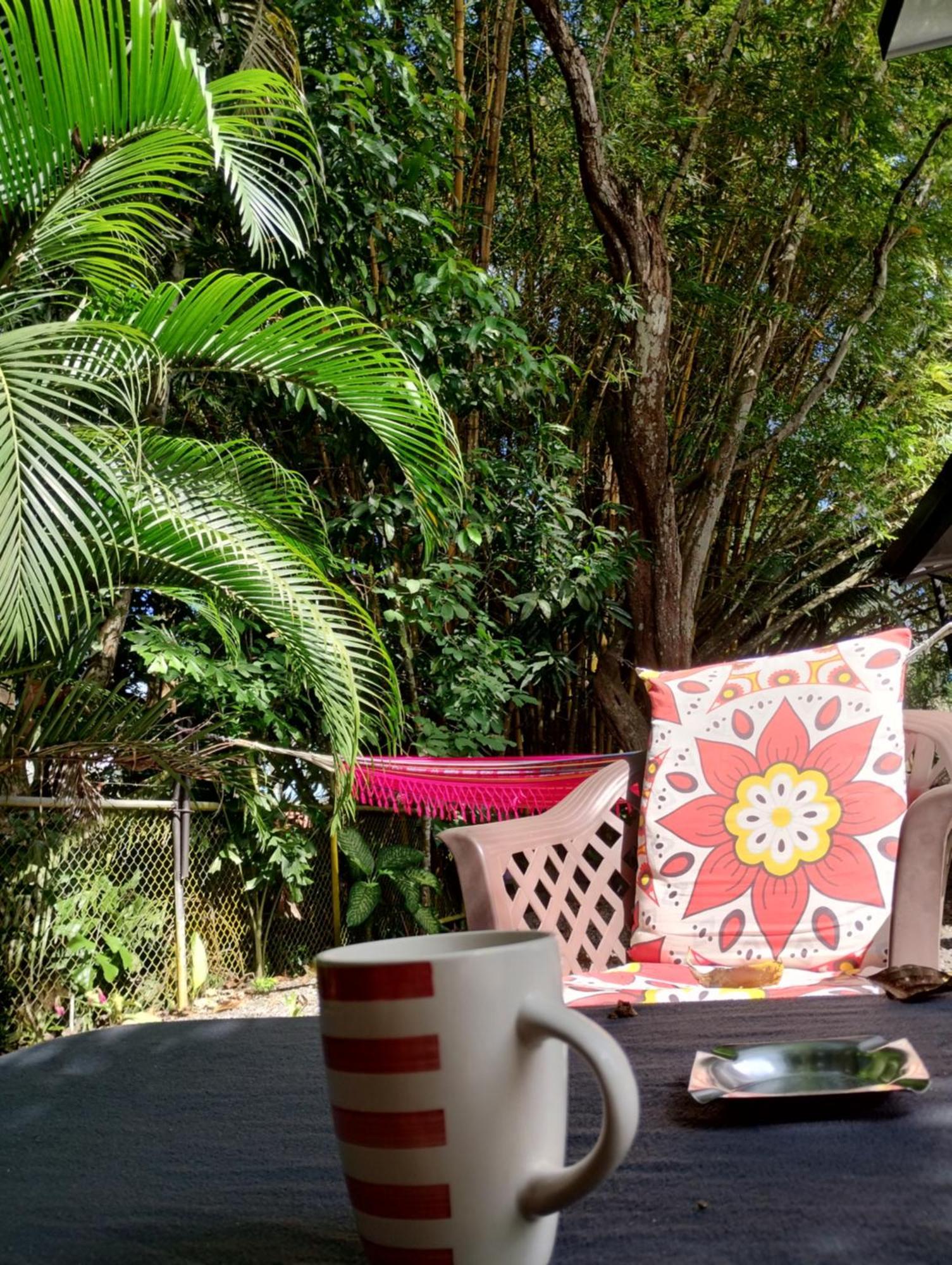 Casajungla Hostel Jacó Kültér fotó